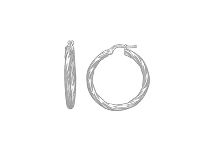 White Gold Plated | Fashion Earrings